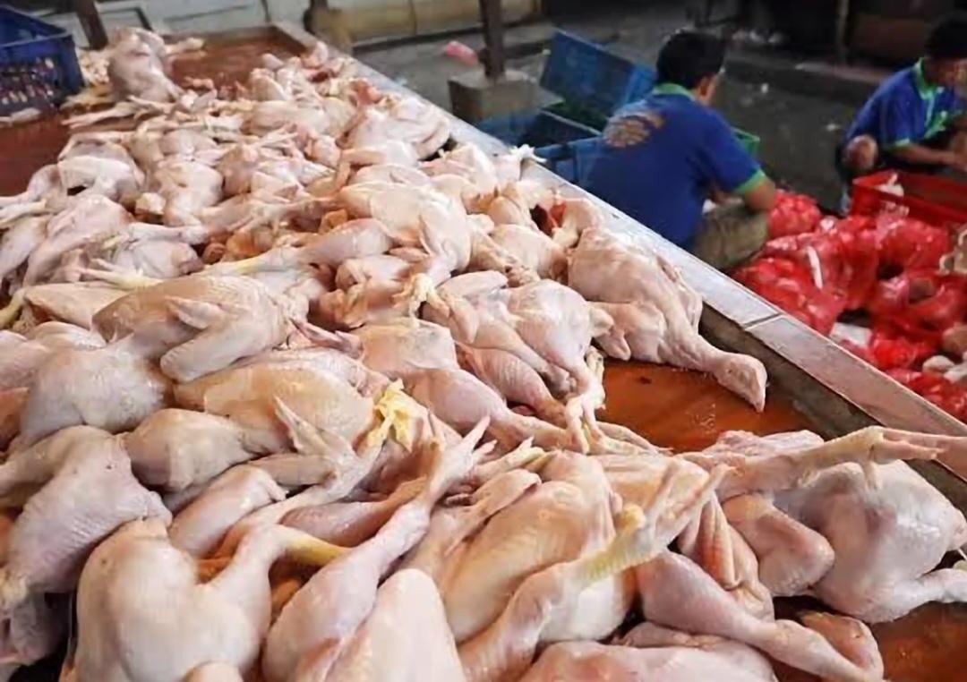 Harga Komoditas Pangan per 10 Juni 2025